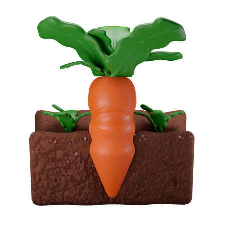 Granja de zanahorias  3D Illustration