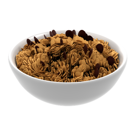 Granola  3D Icon