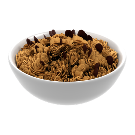 Granola  3D Icon