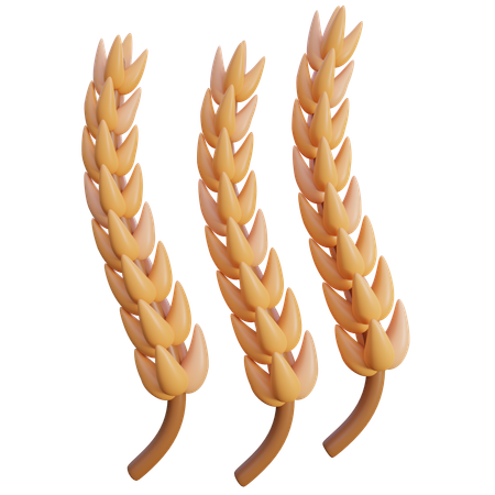 Granos de trigo  3D Icon
