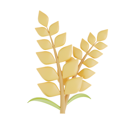 Grão de trigo  3D Icon