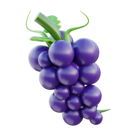 Grape Fruit 3 D Icon 3D Icon