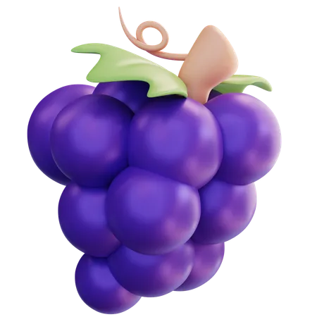 3 D Illustration Grape 3D Icon