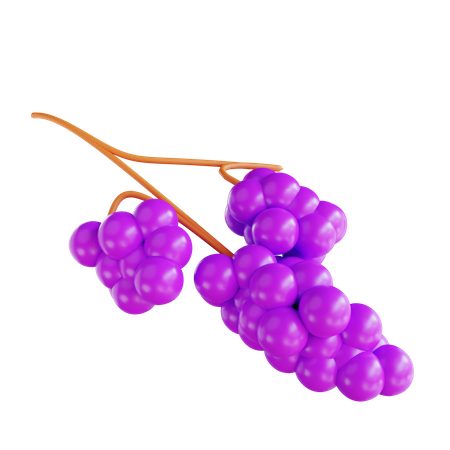 Grape  3D Icon