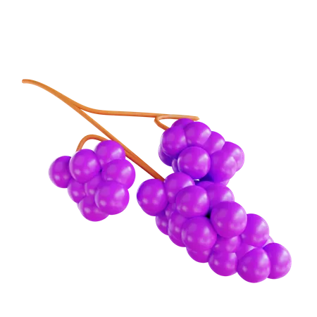 Grape  3D Icon