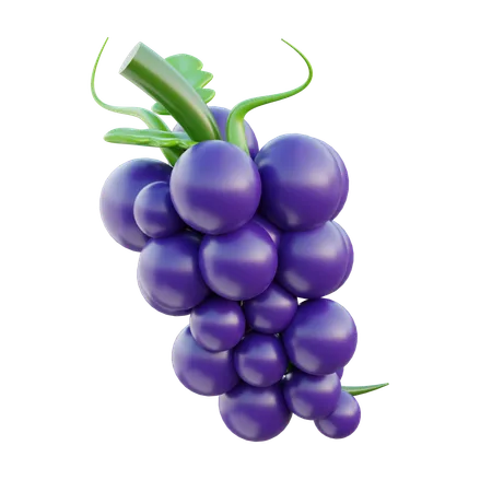 Grape  3D Icon