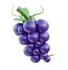 Grape