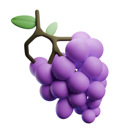 Grape  3D Icon