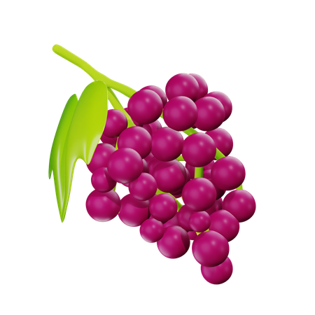 Grape  3D Icon