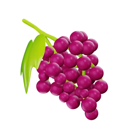 Grape  3D Icon