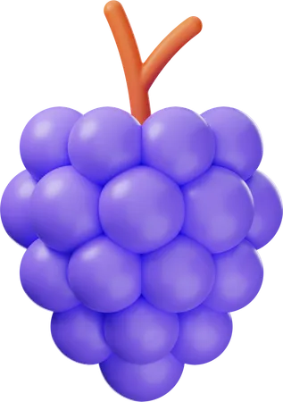 Grape  3D Icon