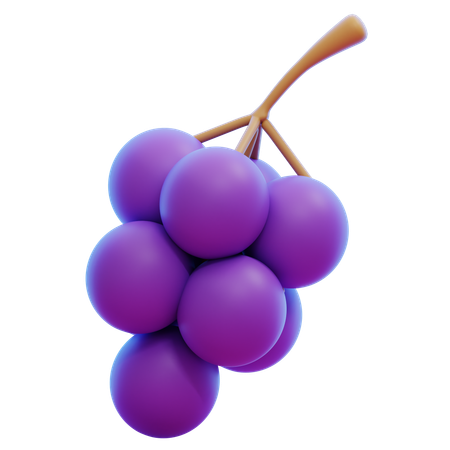 GRAPE  3D Icon