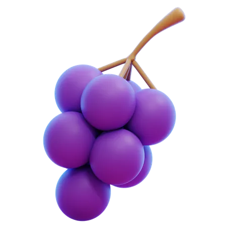 GRAPE  3D Icon