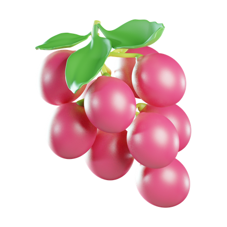 Grape  3D Icon