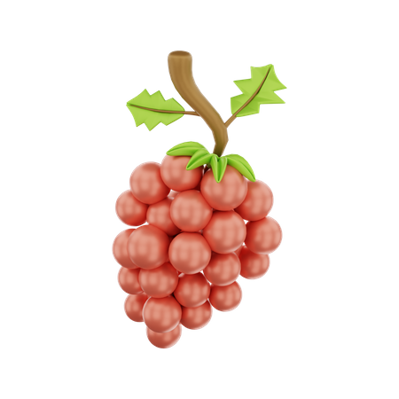 Grape  3D Icon