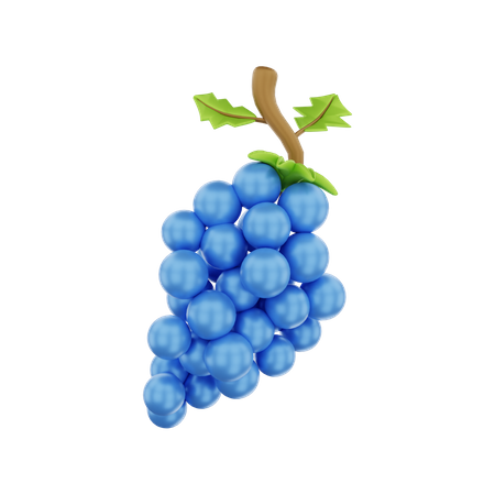 Grape  3D Illustration