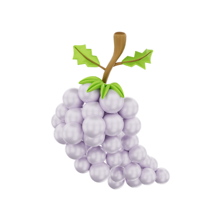 Grape  3D Illustration