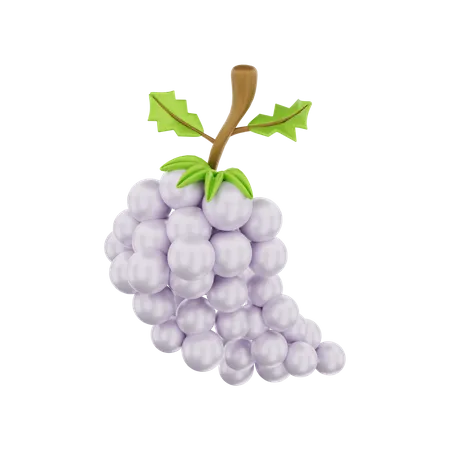 Grape  3D Illustration