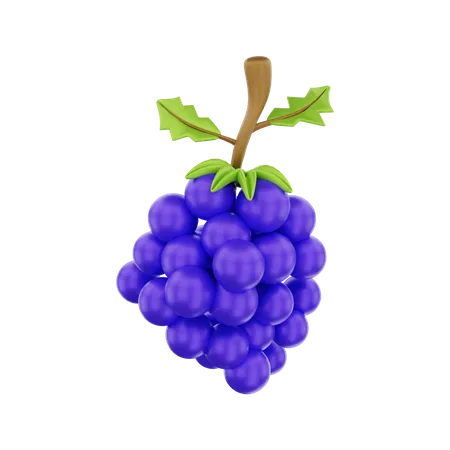 Grape  3D Illustration