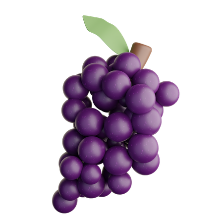 Grape  3D Illustration