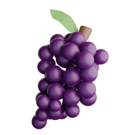 Grape  3D Illustration