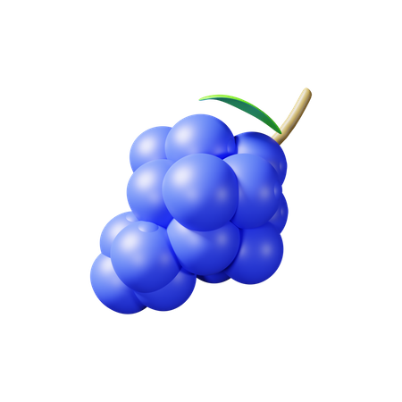 Grape  3D Illustration