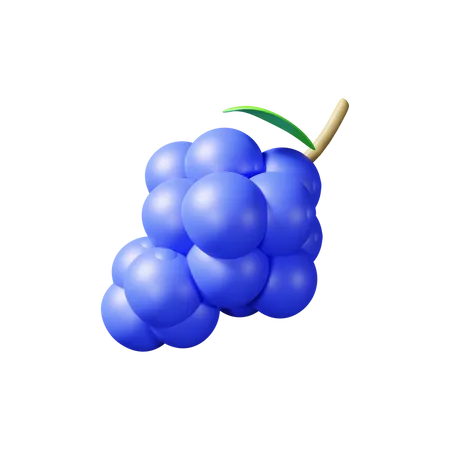 Grape  3D Illustration