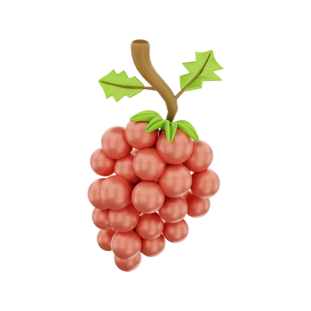 Grape  3D Illustration