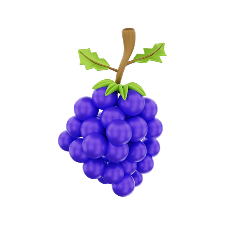 Grape 3D Illustration