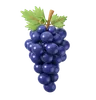 Grape Bunch