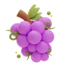Grape Bunch