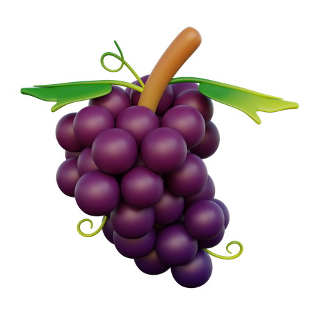 Grape Fruit  3D Icon