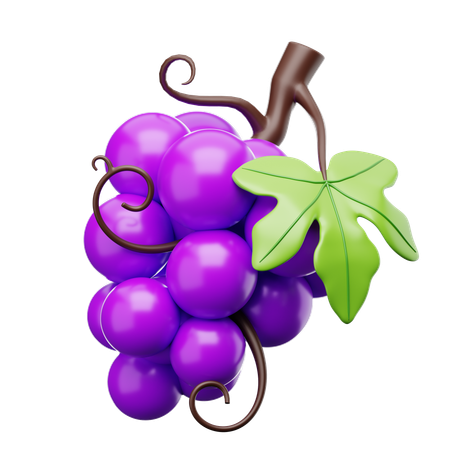 Grape Fruit  3D Icon