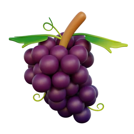 Grape Fruit  3D Icon
