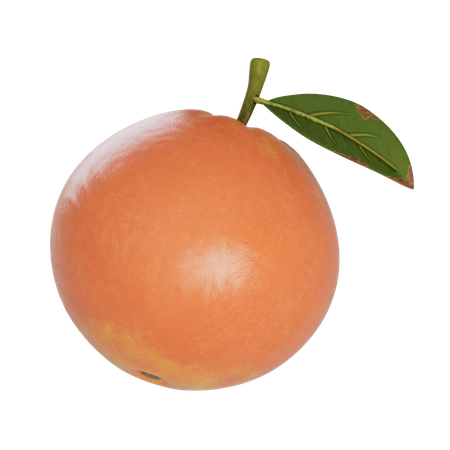 Grapefruit 3D Illustration