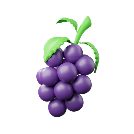 Grapes Download This Item Now 3D Icon
