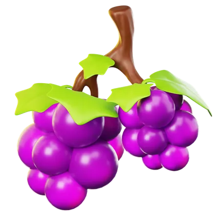 3 D Icon Fresh Grapes On Transparent Background 3D Icon