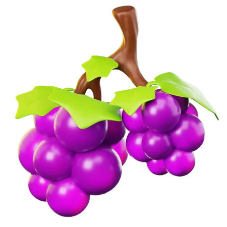 Grapes  3D Icon