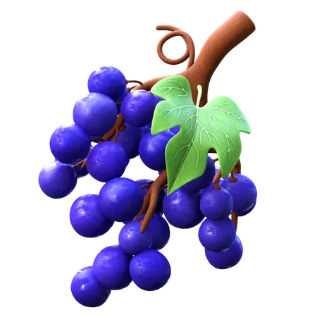 Grapes  3D Icon