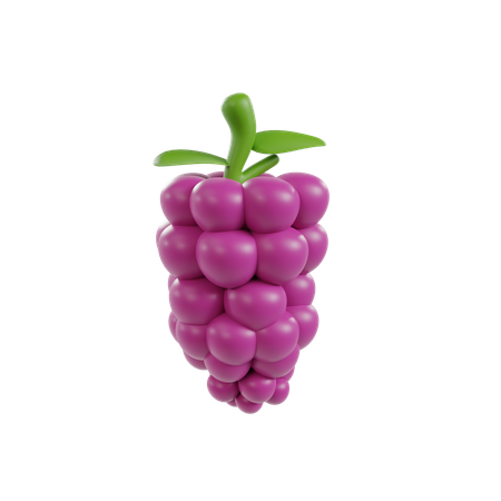 Grapes  3D Illustration