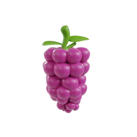 Grapes  3D Illustration