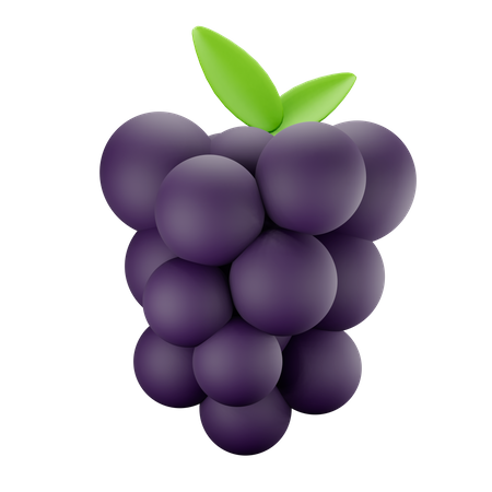 Grapes  3D Illustration