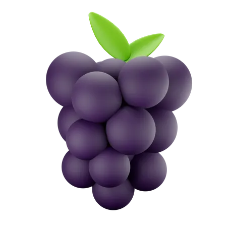 Grapes  3D Illustration