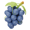 3d grapes logo