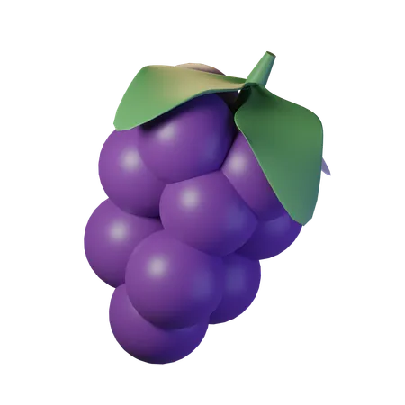 Sprig Of Grapes With Leaves 3D Icon