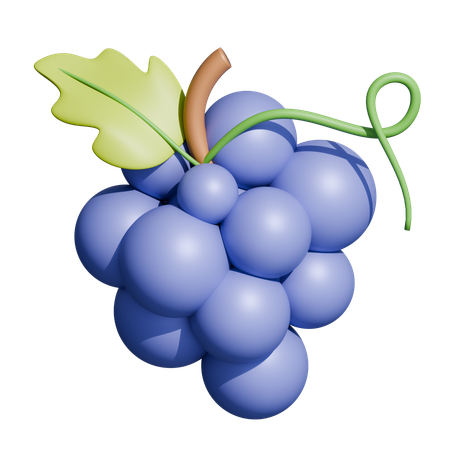 Grapes Branch  3D Icon
