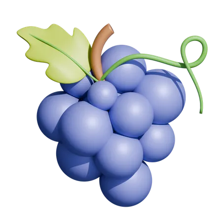 Grapes Branch  3D Icon