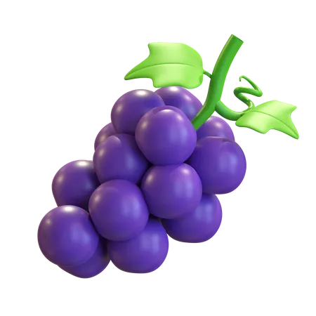 Grapes Fruit  3D Illustration