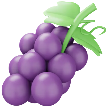 Grapes Purple  3D Icon