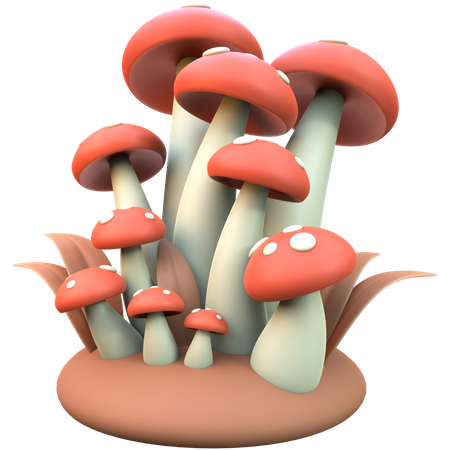 Grappe de champignons  3D Icon